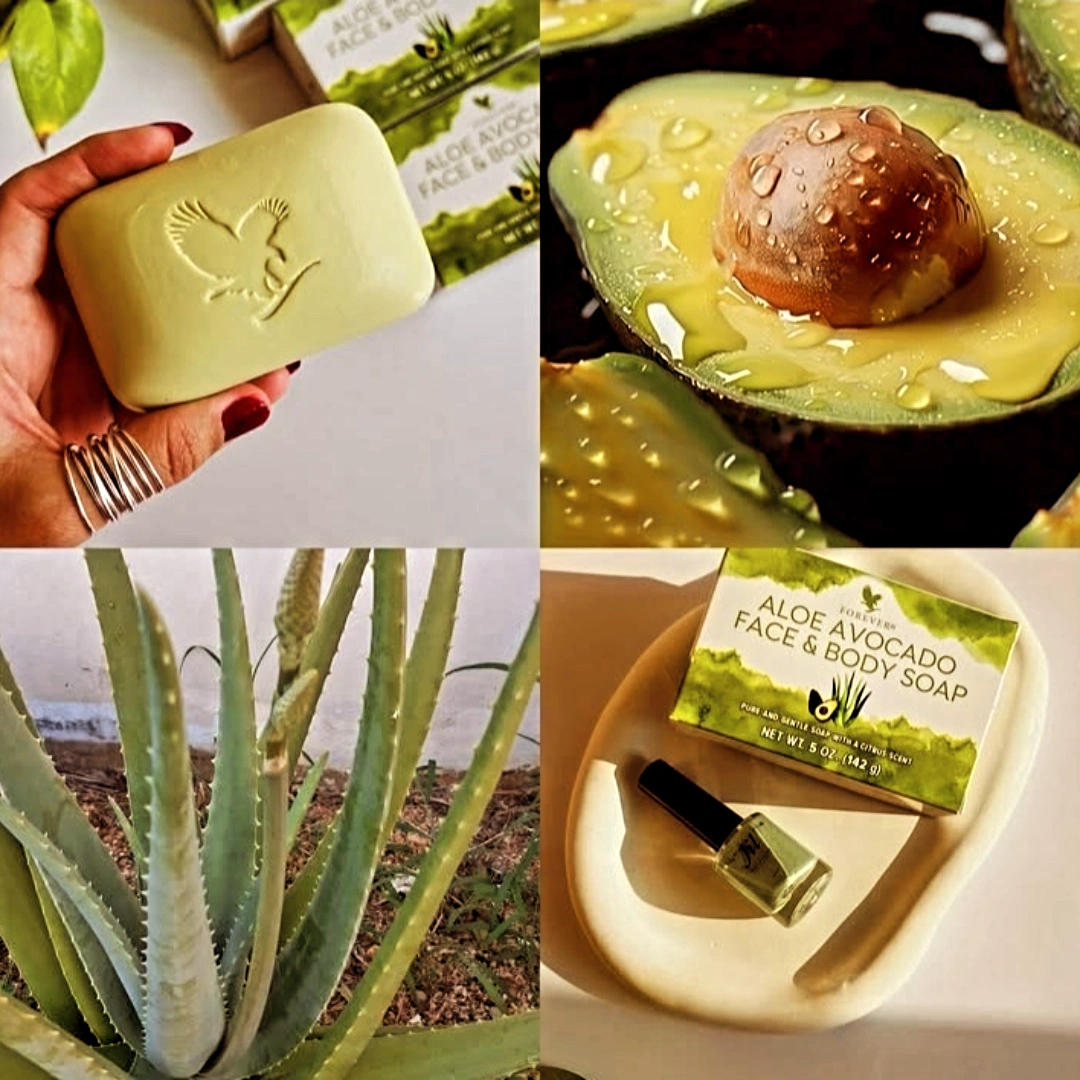 پن صورت و بدن